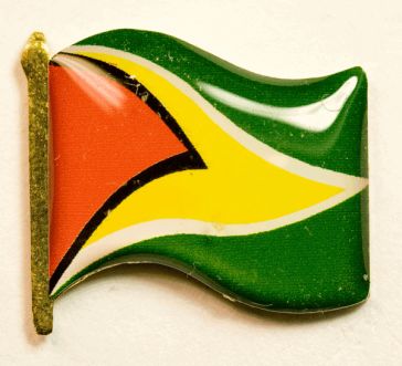 Флаг Гайаны ― АЛЬТАВ