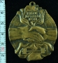 медаль65