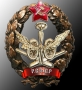 Знак "Красного командира-авиазенитчика"