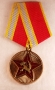 В память 95-летия вооружённых сил СССР