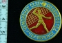 чемпионат ссср по волейболу 1973 Челябинск