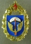 31 гвардейская десантно-штурмовая дивизия